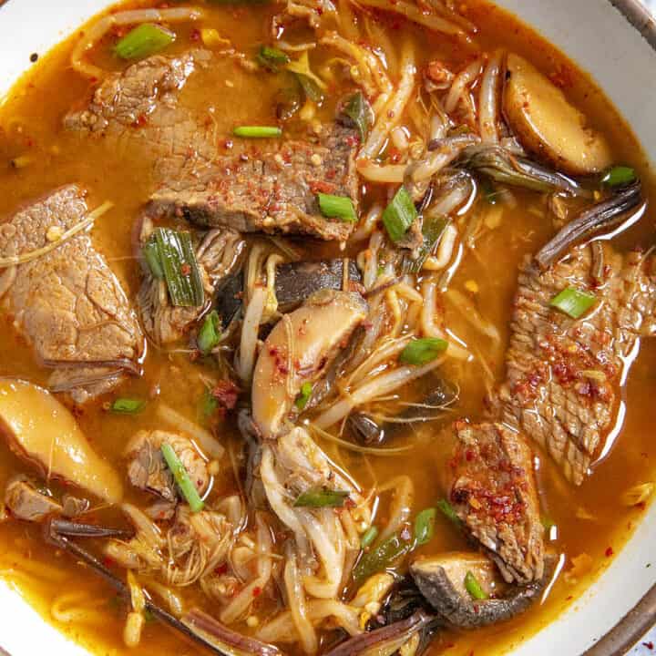 Yukgaejang Recipe (Spicy Korean Vegetable Beef Soup)