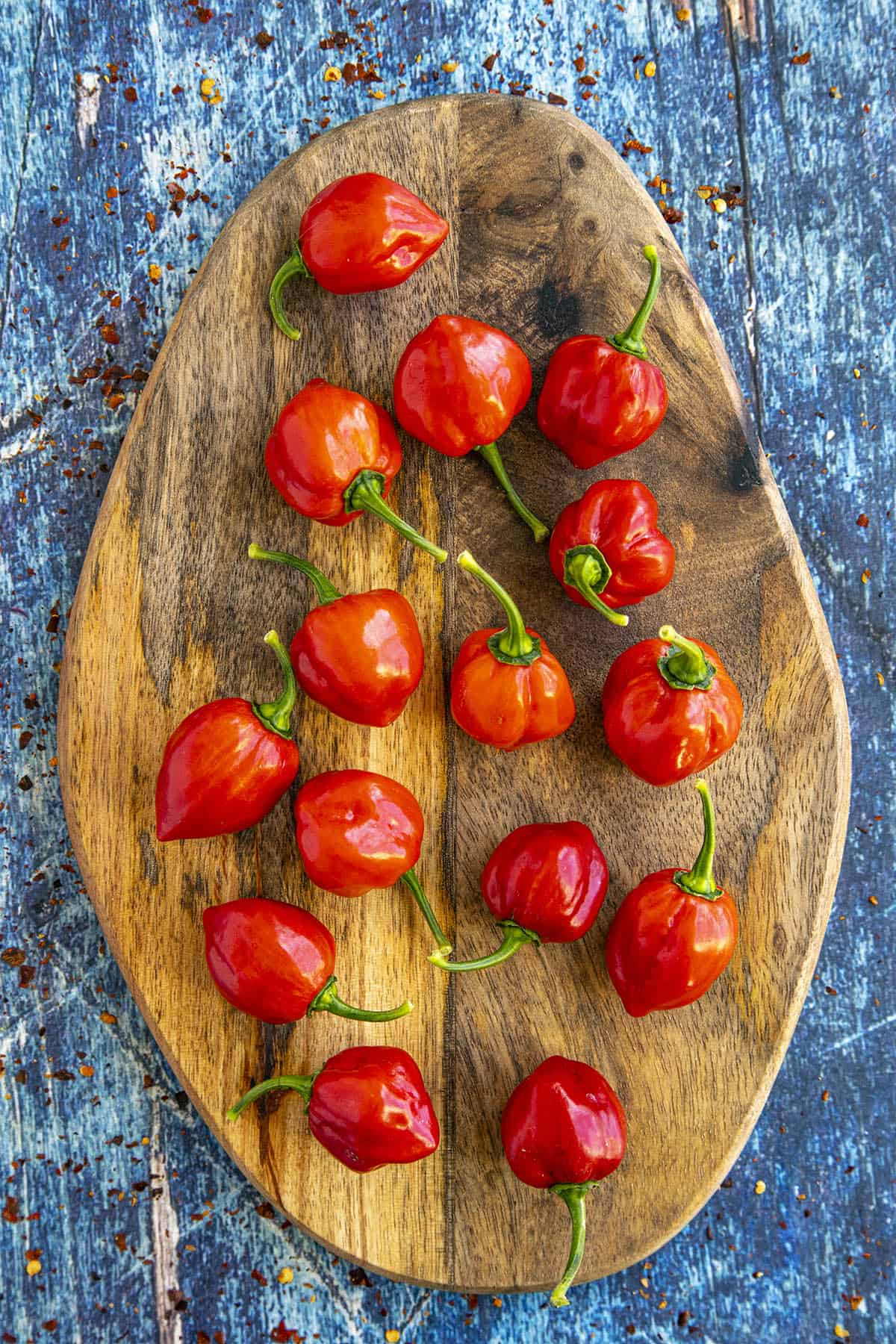 Red Savina Habanero Peppers