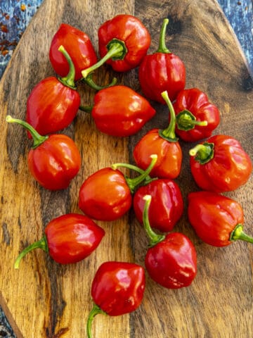 Red Savina Habanero Peppers on a platter