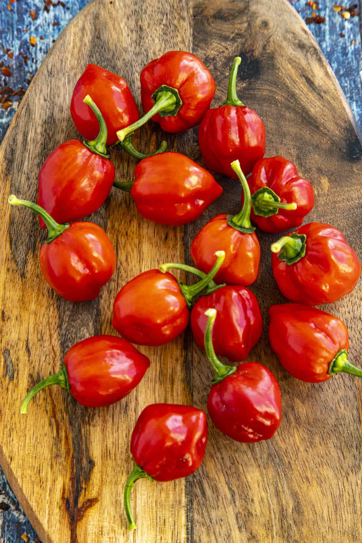 Red Savina Habanero Peppers on a platter