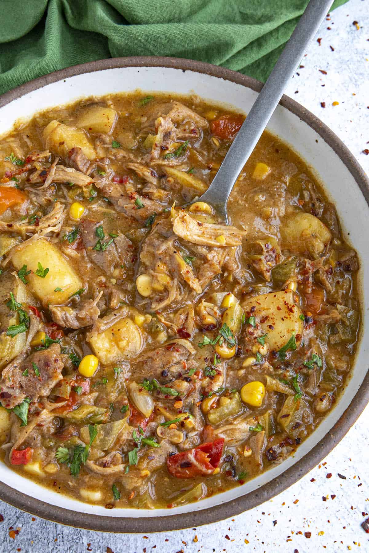 Hearty Turkey Stew in a bowl, ready to serve