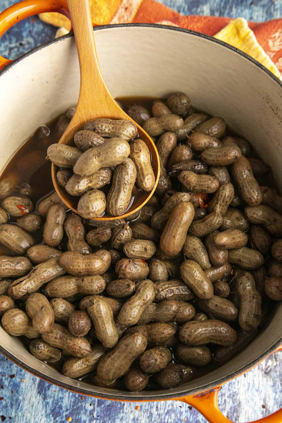 Seasoned Boiled Peanuts on a serving spoon