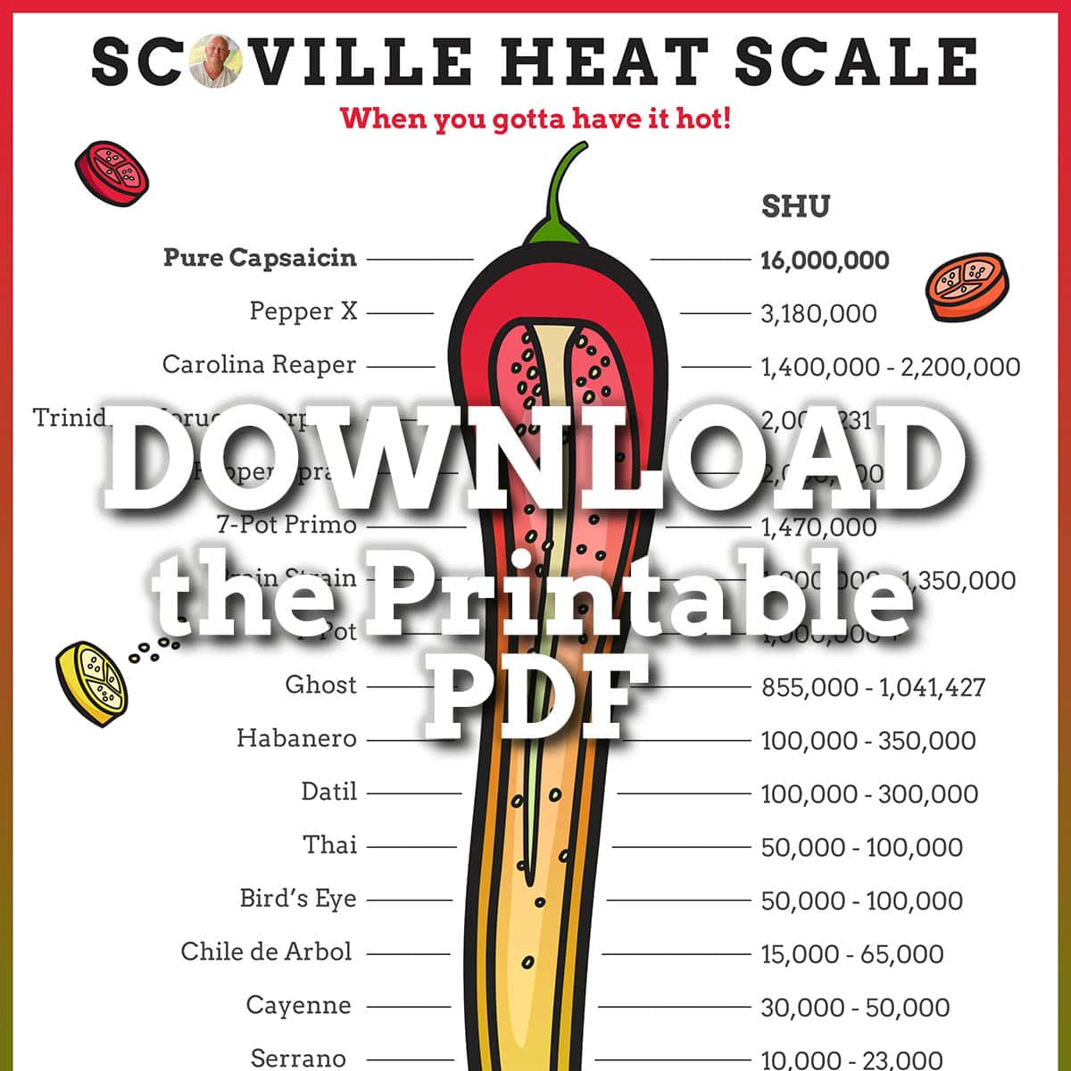 Scoville Scale - What is the hot pepper scale? – Normex Group HK