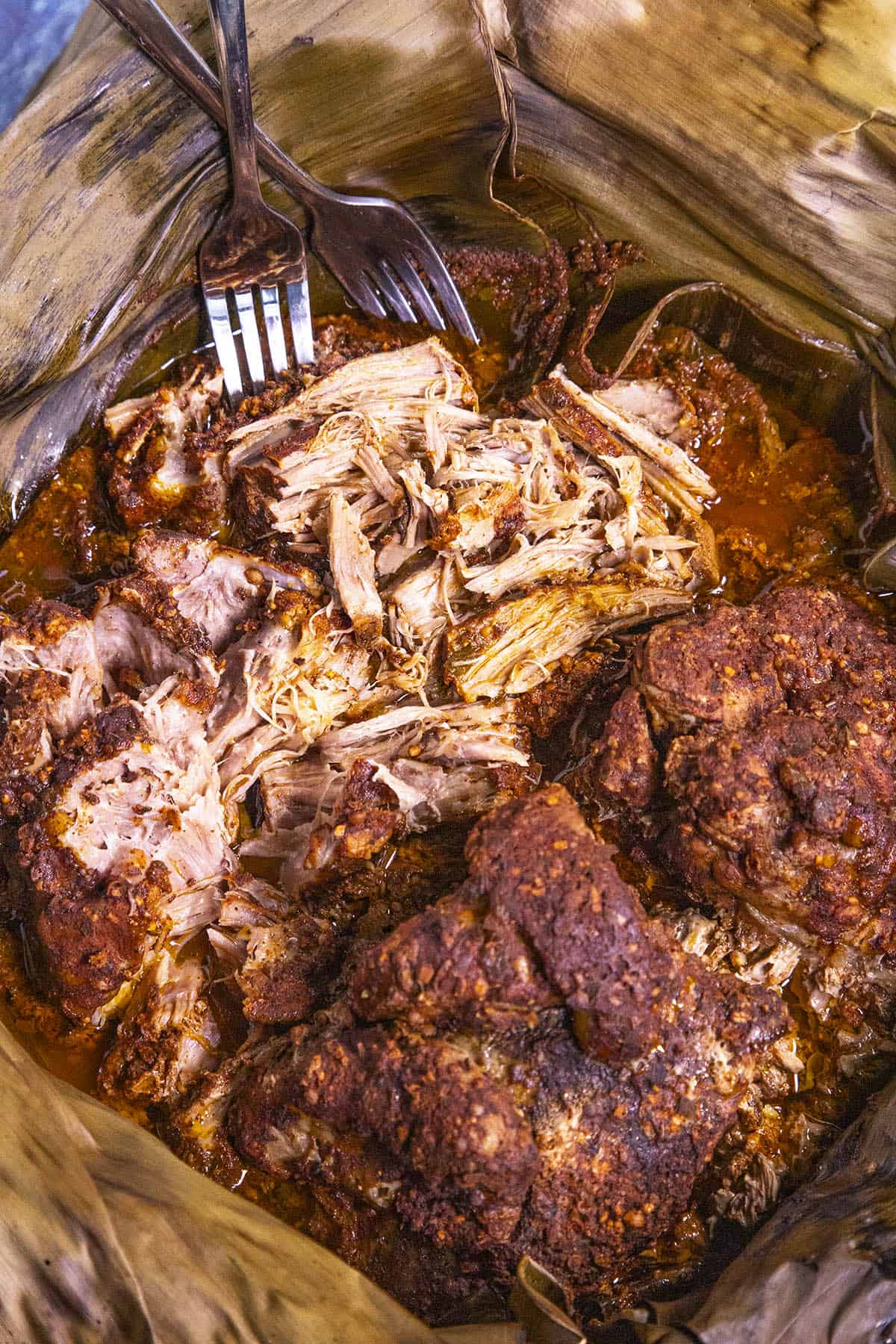 Mike shredding Mexican cochinita pibil with forks