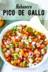 Habanero Pico de Gallo Recipe