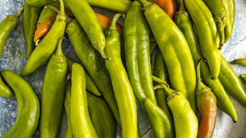 Hatch Chiles Peppers (Types of Hatch Chiles)