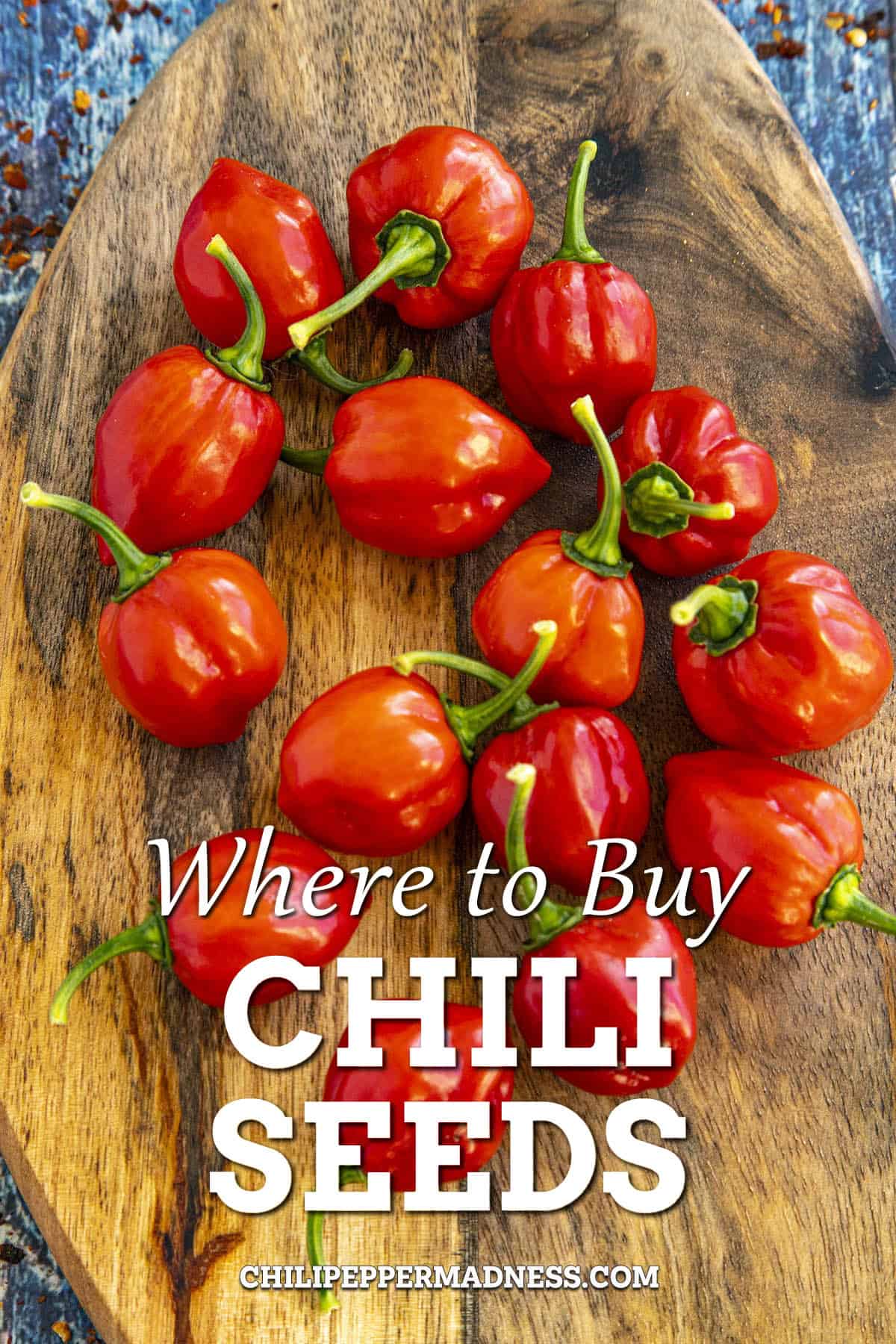 Where to Buy Chili Peppers Seeds