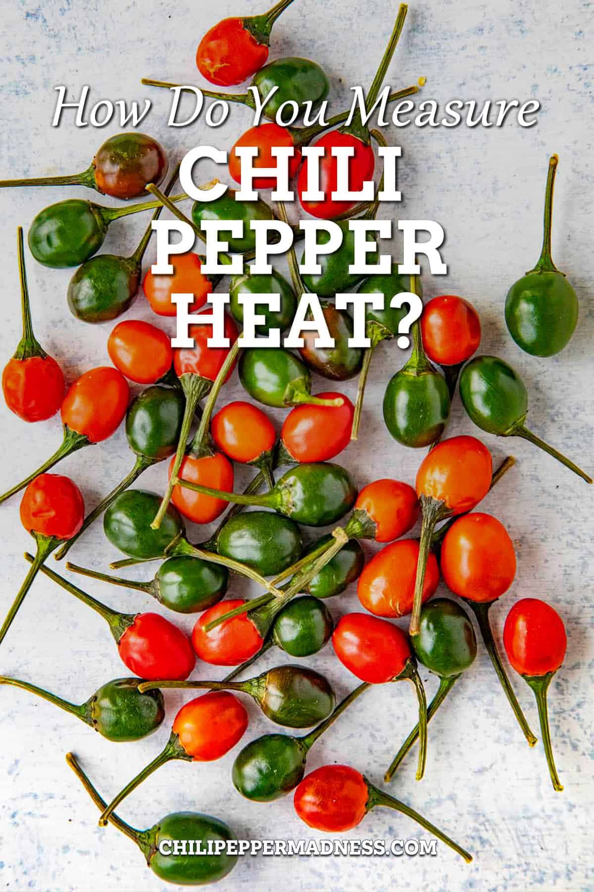 How do you measure chili pepper heat?
