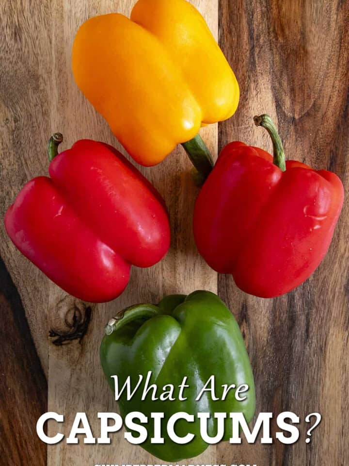 What Are Capsicums?