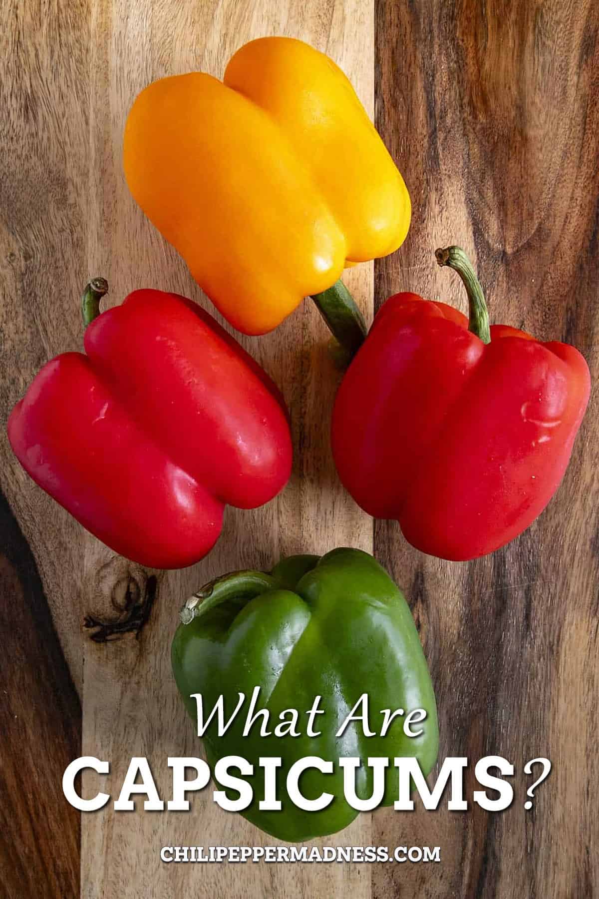 What Are Capsicums?