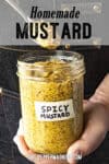 Homemade Honey Beer Mustard