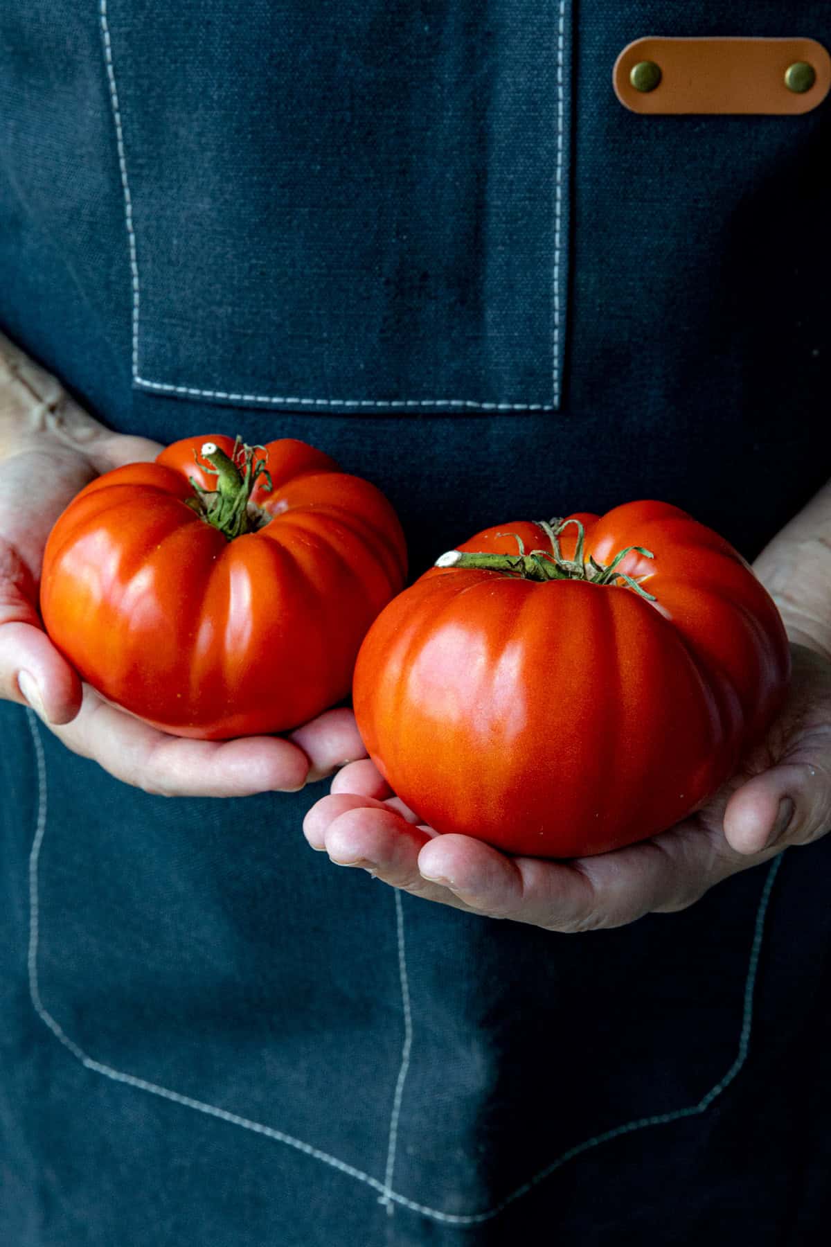 Mike holding 2 large heirloom beefsteak tomatoes
