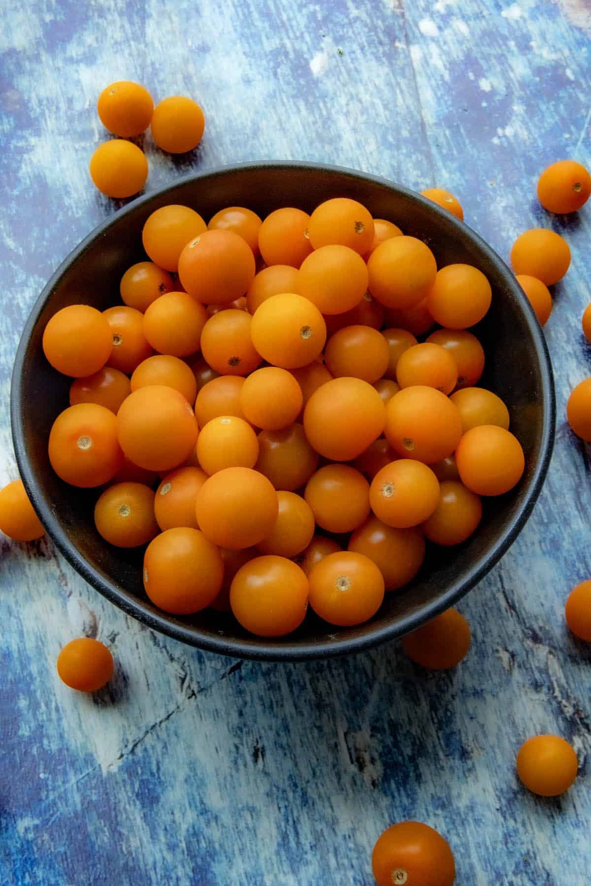 A bowl full of cherry tomatoes from the Chili Pepper Madness garden