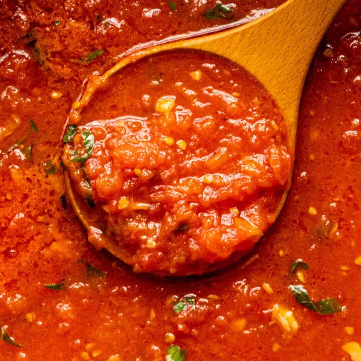 Close up of a large spoon full of Italian Pomodoro Sauce
