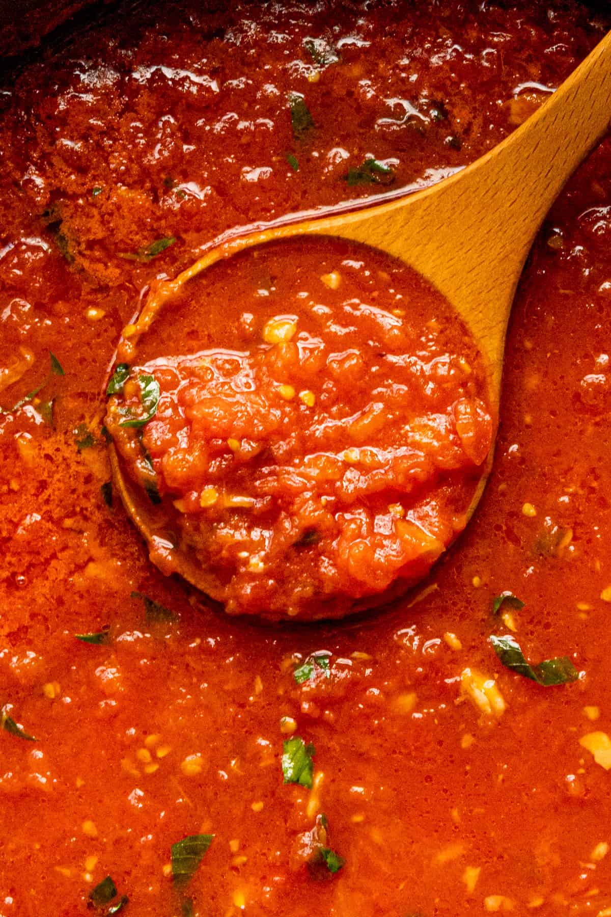 Close up of a large spoon full of Italian Pomodoro Sauce