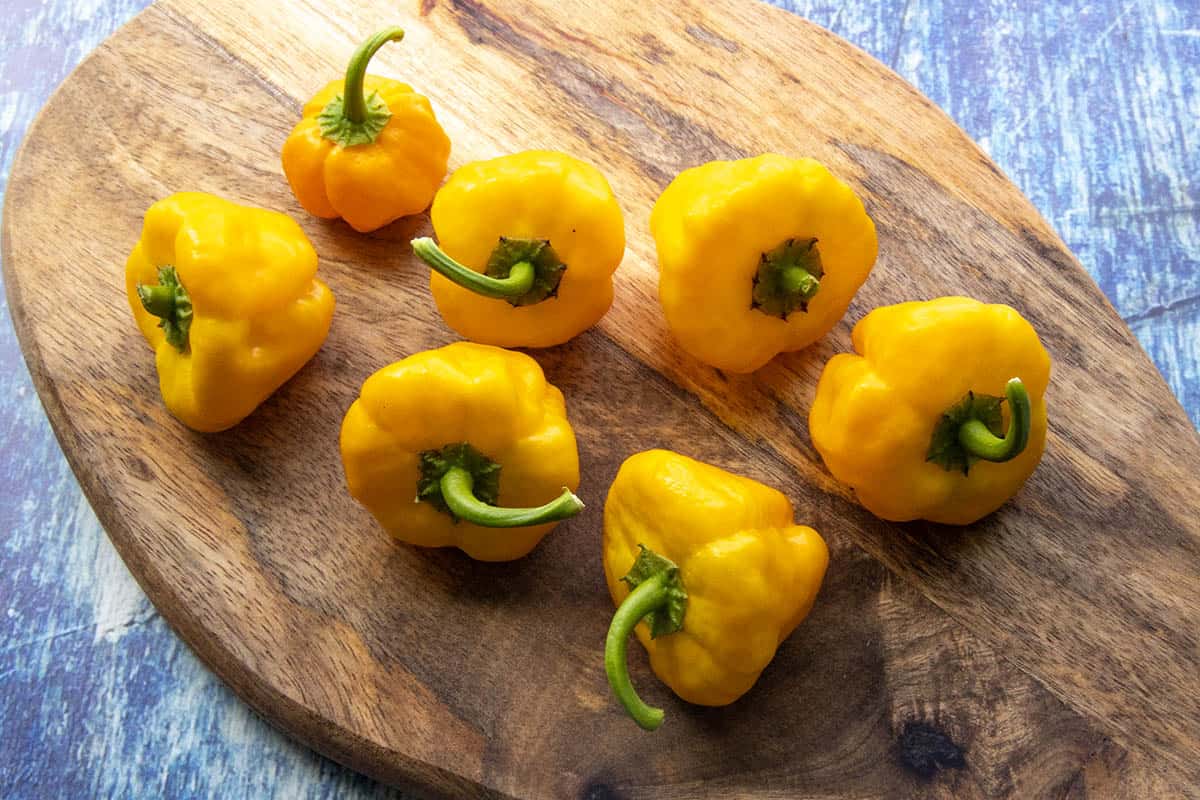 Close up of a group of Scotch Bonnet Chilies on a platter