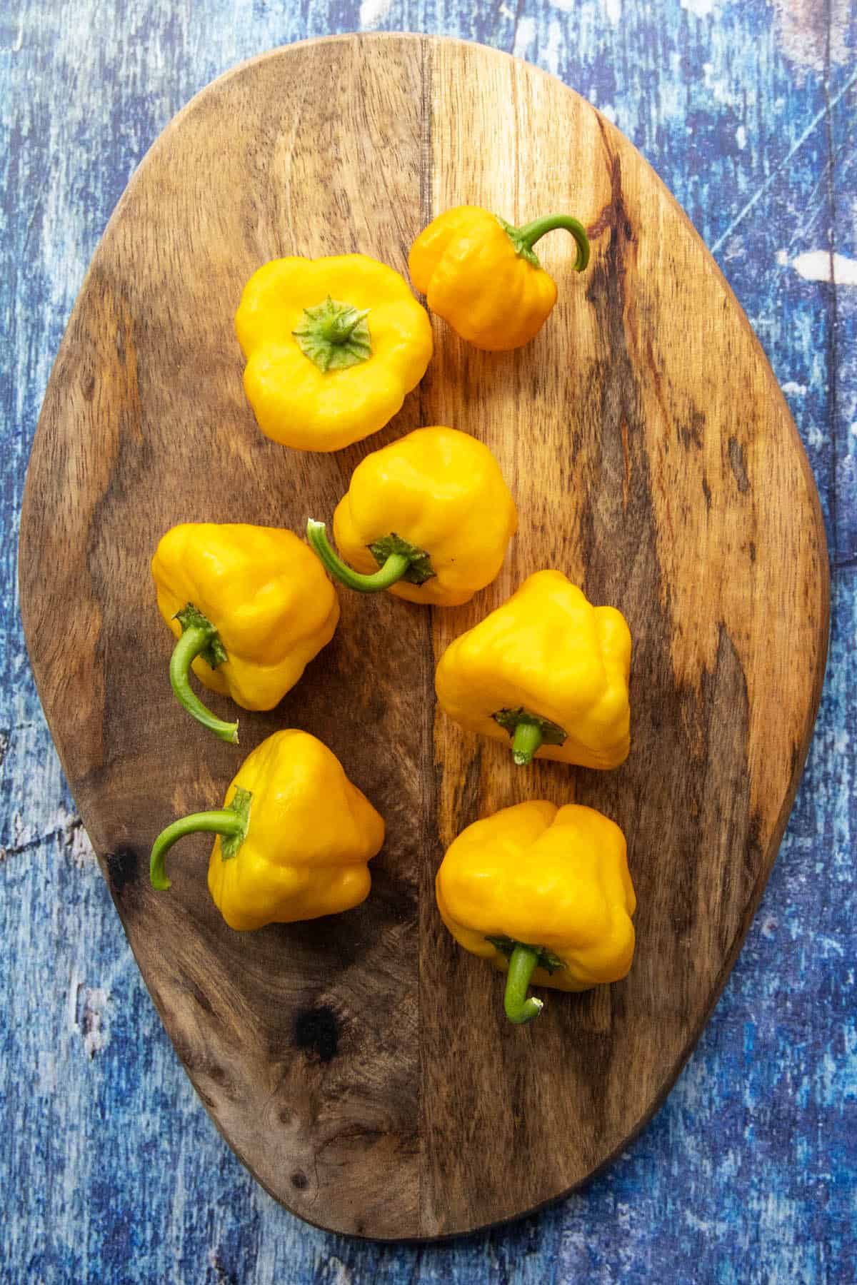 Seven Scotch Bonnet Chilies on a platter