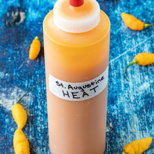 A bottle of Mike's St. Augustine Heat Hot Sauce on a table, surrounded by fresh datil chilies
