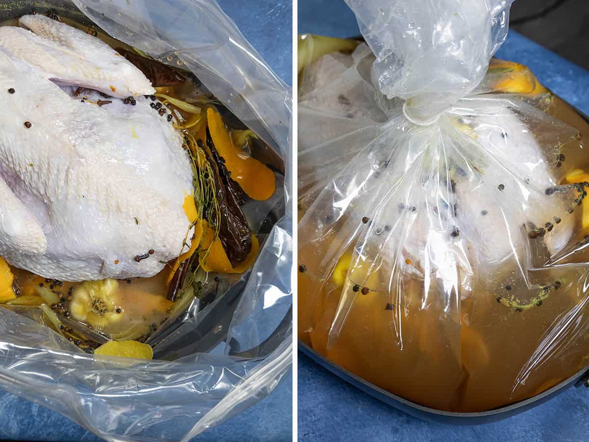 A whole turkey brining in a large brine bag