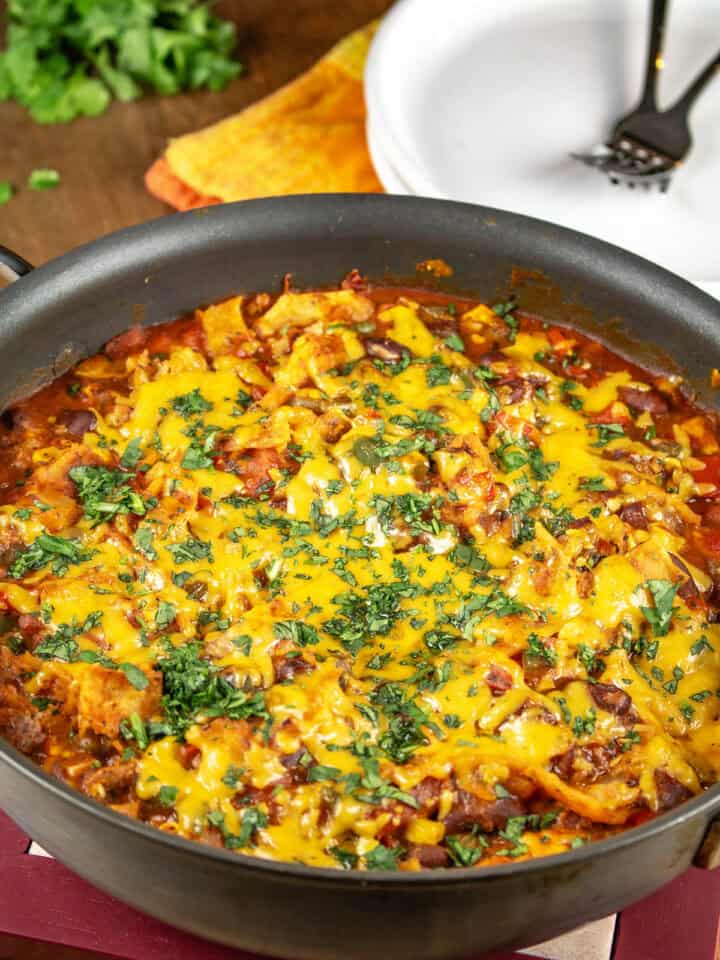 Meatless Enchilada Casserole served in a dish hot from the oven, garnished with chopped cilantro