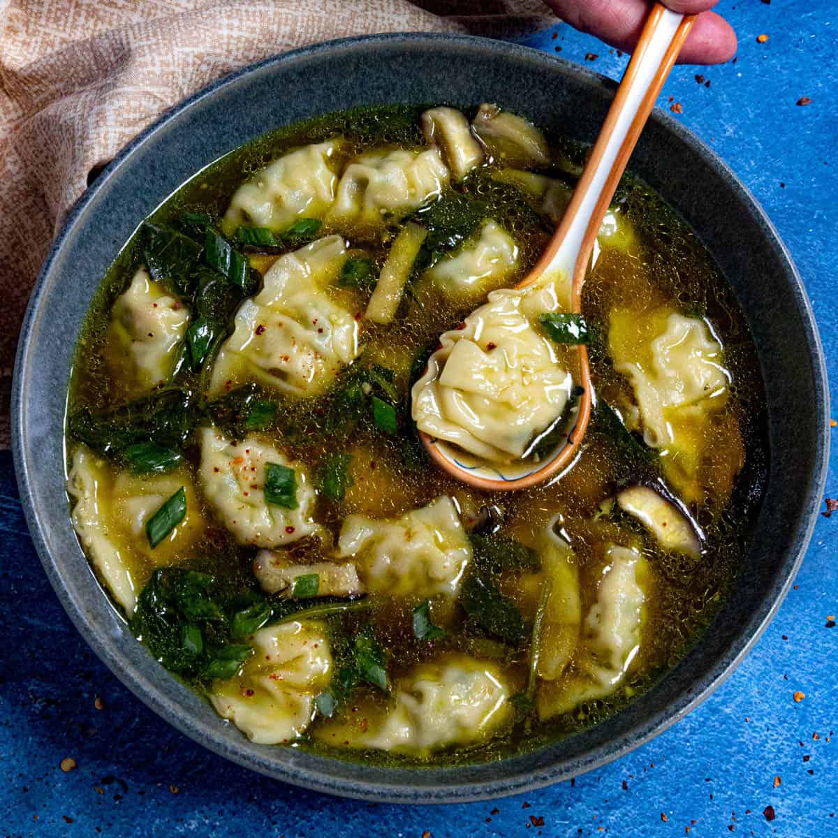 Easy Wonton Soup Recipe-image