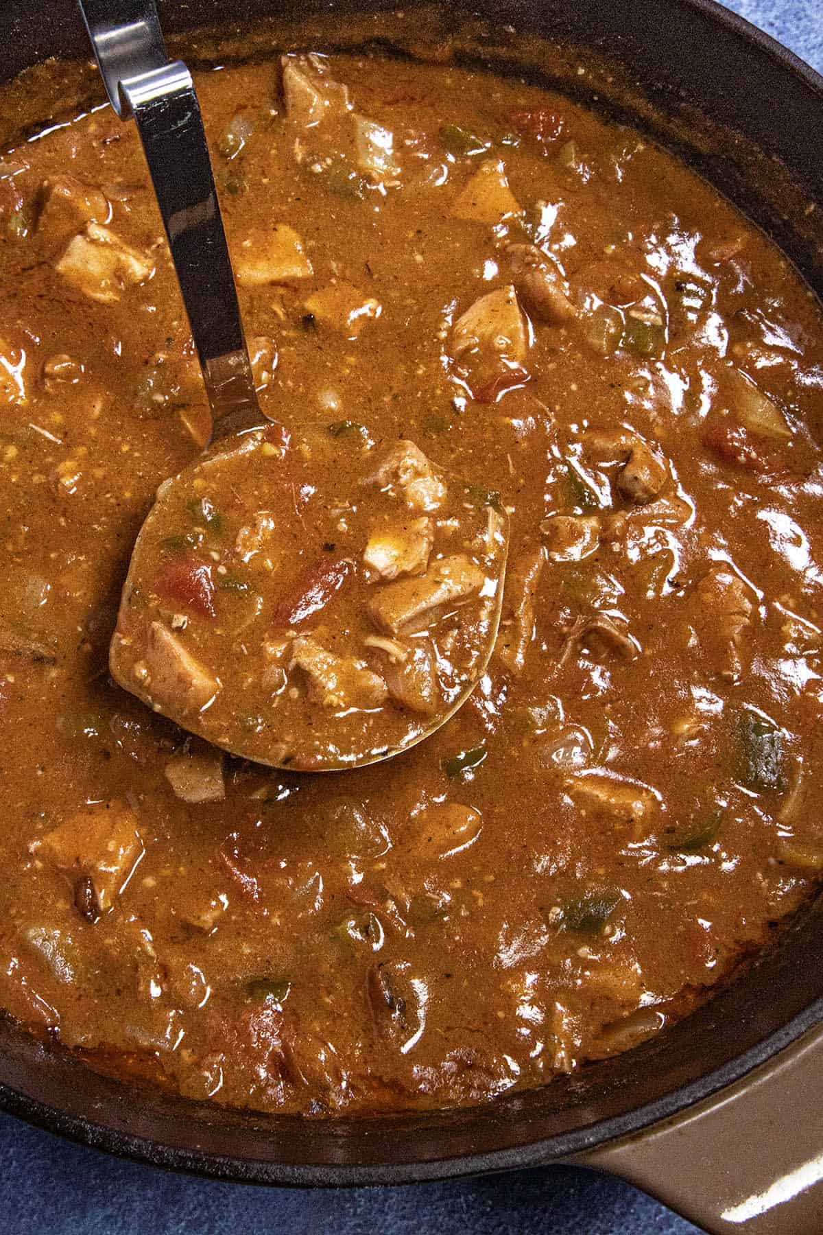 A close-up of a pot filled with thick, chunky chicken sauce piquante. A metal ladle lifts the hearty mix, revealing tender chicken and vegetables in a rich, reddish-brown broth.