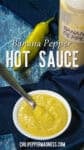 Bowl of yellow banana pepper hot sauce with a spoon, a fresh banana pepper, and a labeled sauce bottle on a blue cloth. Recipe from chilipeppermadness.com.