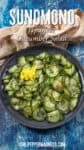 Sunomono (Japanese Cucumber Salad Recipe)